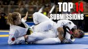 The Top 14 Subs From Day One of Black Belts Pans