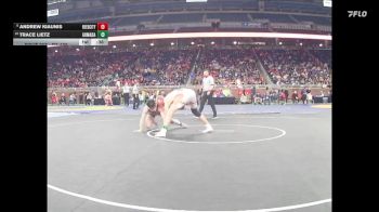 D3-165 lbs Cons. Semi - Andrew Kiaunis, Reed City vs Trace Lietz, Armada