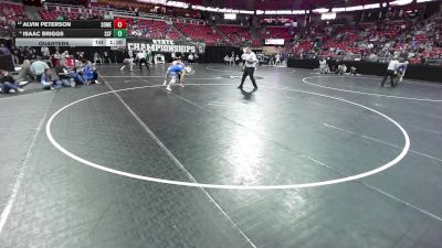 165 lbs Quarters - Alvin Peterson, Somerset vs Isaac Briggs, Saint Croix Falls