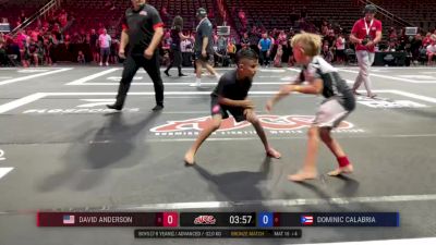 David Anderson vs Dominic Calabria 2024 ADCC Worlds Open