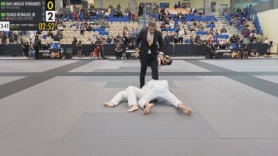 DAVI ARAUJO vs THIAGO REINALDO 2026 PBJJF World Jiu-Jitsu Championships