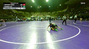 113 lbs Quarterfinal - Anthony Garza, Clovis vs Dominic Day, St. Joseph