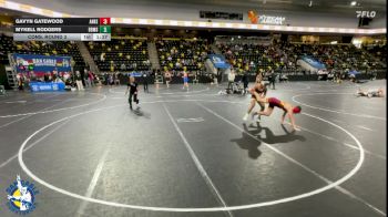 157 lbs Cons. Round 3 - Gavyn Gatewood, Ankeny vs Mykell Rodgers, Brown Deer/Messmer/Shorewood