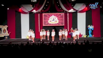 Carolina Spirit Athletics - Lady Sharks [2024 L4.2 Senior - D2 Day 1] 2024 ASC Battle Under the Big Top Grand Nationals