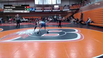 113 lbs Round 1 - Damon Tilger, Spring Creek vs Liam Breen, Twin Falls