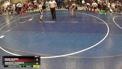 86 lbs Cons. Round 2 - David Salinas, Montrose Elite vs Brennan Vuksinick, Timpanogos Wrestling