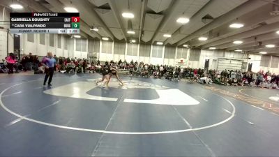 110 lbs Champ. Round 1 - Gabriella Doughty, Cheyenne East vs Cara Vialpando, Walsenburg