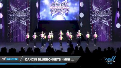 Dancin Bluebonnets - Mini Pom [2022 Mini - Pom - Large Day 2] 2022 JAMfest Dance Super Nationals