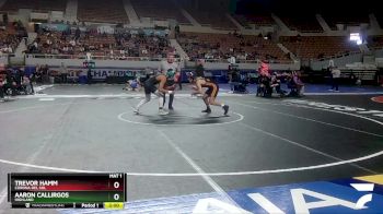 D1-132 lbs Quarterfinal - Aaron Callirgos, Highland vs Trevor Hamm, Corona Del Sol