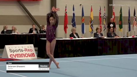 Delaram Ghasemi - Floor, Norfort