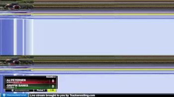 195 lbs Round 2 (4 Team) - Griffin Banks, Holmen vs AJ Petersen, North Scott