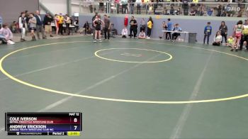 97 lbs 2nd Place Match - Andrew Erickson, Juneau Youth Wrestling Club Inc. vs Cole Iverson, Bethel Freestyle Wrestling Club