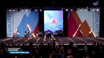 Rock Cheer Company - Love Bugs [2025 L3 Youth - Small - WC Day 2] 2025 The Youth Summit