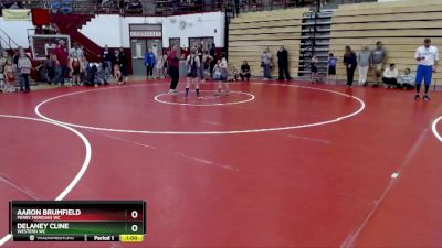 87-93 lbs Round 1 - Aaron Brumfield, Perry Meridian WC vs Delaney Cline, Western WC