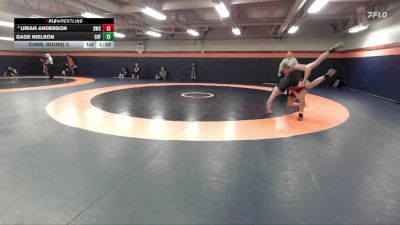 138 lbs Cons. Round 3 - Uriah Anderson, Delta Wrestling Club vs Gage Nielson, Canyon View Falcons