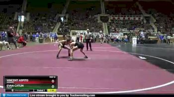 132 lbs Quarterfinal - Evan Catlin, Foley vs Vincent Aspito, Hoover