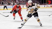 Meet The Providence Bruins, The Boston Bruins AHL Affiliate