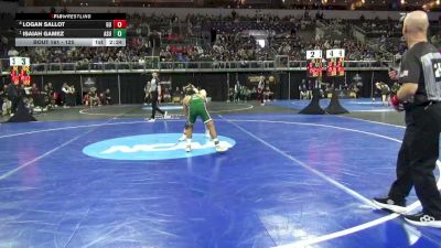 125 lbs Quarterfinal - Isaiah Gamez, Adams St. vs Logan Sallot, Gannon