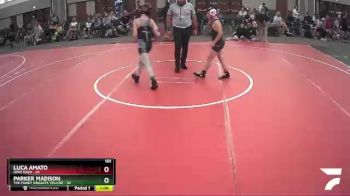 101 lbs Round 2 (6 Team) - Luca Amato, Ohio Gold vs Parker Madison, The Funky Singlets Yellow