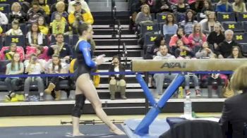 Michigan (Lindsay Williams)