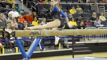 Michigan (Stephanie Colbert) Exhibition