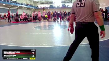 149 lbs Quarterfinal - Elijah Blackwell, Southern Virginia vs Evan Lindner, Washington & Lee