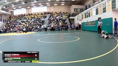 132 lbs Cons. Round 3 - Jackson Benner, WEST BRANCH vs Wyant Dobran, CONNEAUT