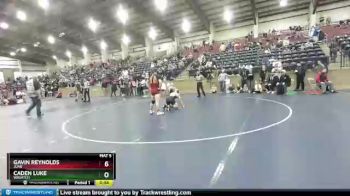 147 lbs Quarterfinal - Caden Luke, Wasatch vs Gavin Reynolds, Juab