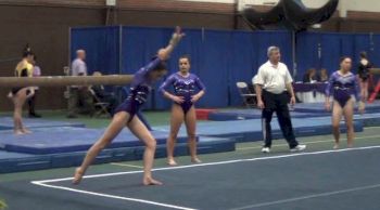 Brestyans (Emily Nolton)