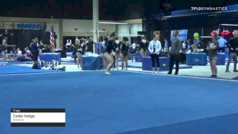 Cadie Hodge - Floor, Brandy's - 2020 Tampa Bay Turner's Invitational