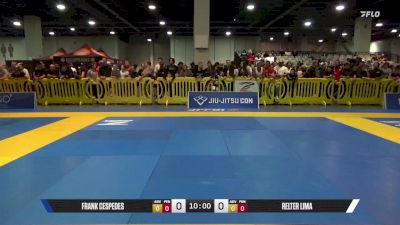 Frank Cespedes vs Relter Lima 2025 American National IBJJF Jiu-Jitsu Open Championship