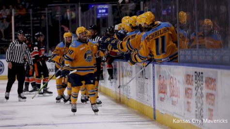 Meet The Detroit Red Wings ECHL Affiliate, The Toledo Walleye