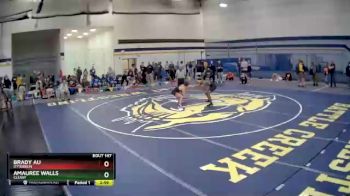 149 lbs Champ. Round 2 - Brady Au, Otterbein vs Amauree Walls, Cleary