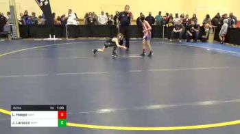 60 lbs Consolation - Logan Heeps, Northwestern Lehigh vs Jojo Larocco, Northeastern