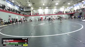 141 lbs Champ. Round 3 - Khyvon Grace, West Liberty vs Benjamin Hernandez, Mount Olive