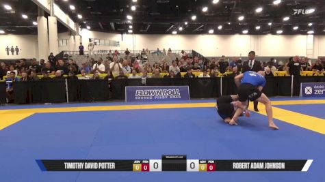 Robert Adam Johnson vs Timothy David Potter 2025 World IBJJF Jiu-Jitsu No-Gi Championship
