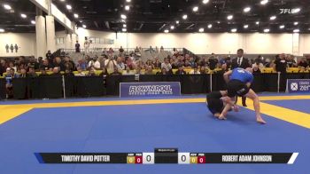 Robert Adam Johnson vs Timothy David Potter 2025 World IBJJF Jiu-Jitsu No-Gi Championship