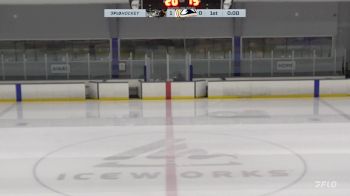 Replay: Home - 2025 Bridgewater vs New Hampshire | Mar 9 @ 3 PM