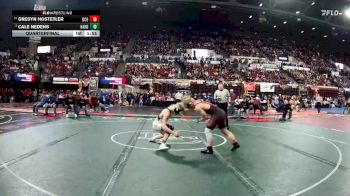 A - 150 lbs Quarterfinal - Gresyn Hostetler, Dawson County vs Cale Nedens, Hardin