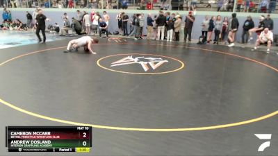 138 lbs Final - Andrew Dosland, Interior Grappling Academy vs Cameron McCarr, Bethel Freestyle Wrestling Club