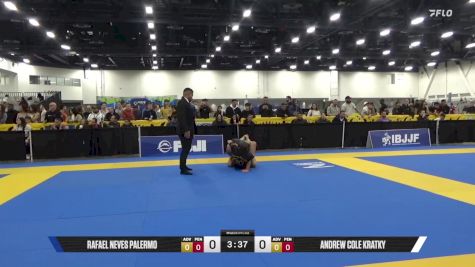 Andrew Cole Kratky vs Rafael Neves Palermo 2025 World IBJJF Jiu-Jitsu No-Gi Championship