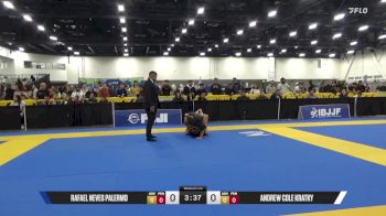 Andrew Cole Kratky vs Rafael Neves Palermo 2025 World IBJJF Jiu-Jitsu No-Gi Championship
