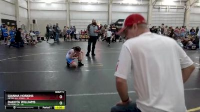 100 lbs Round 3 (4 Team) - Dakota Williams, MI Pitbulls vs Gianna Hoskins, Metro All Stars