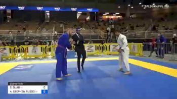 STEPAN DLAB vs ANDREW STEPHEN RUSSO 2020 World Master IBJJF Jiu-Jitsu Championship