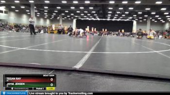 120 lbs Champ. Round 2 - Tegan Ray, MI vs Jayse Jensen, IA