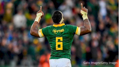 Where Do The South Africa Springboks Play Club Rugby?