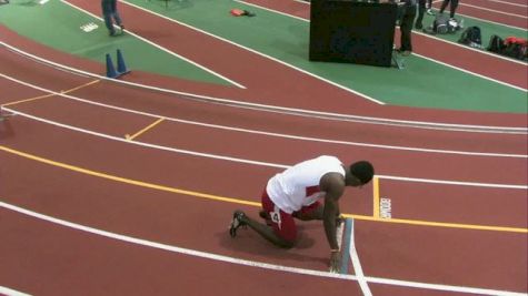 M 400 H07 (Champ - Bush)