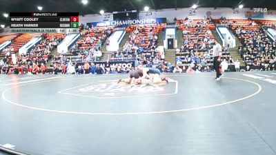 138 lbs Quarterfinals (8 Team) - Wyatt Cooley, Clinton vs Heath Varner, Roscommon