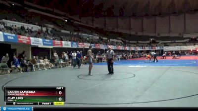 132 lbs Champ - Round 1 (16 Team) - Caiden Saavedra, Staunton River vs Clay Ling, York