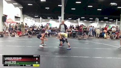 80 lbs Round 2 (4 Team) - Julian Tate, Mat Warriors Red vs Landon Spickler, Mat Warriors Yellow